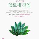 여린 티스토리
