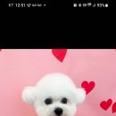 뚜드림 수원점 이미지