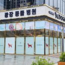 중앙동물병원 이미지