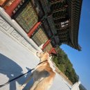 펫클럽 오남점 이미지