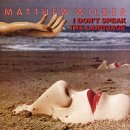 Matthew Wilder - Break My Stride 이미지