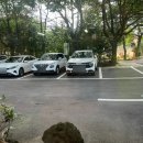 성미목장 이미지