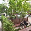 싸리재공원 이미지