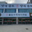 졸또 이미지