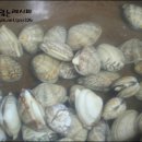 수바지락칼국수 이미지
