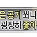 비로소 가을 이미지