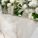 결혼일기 (3) : 본식 서브스냅 (아이폰 스냅) - 스냅시고 계약 후기