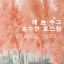 강군족발