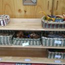 선해어린이집 이미지