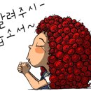 (주)맘스팜 네이버블로그