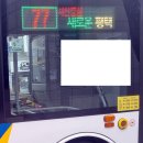 당현3리마을회관 | 평택 77번 마을버스(두릉3리-당현4리-당현3리-개나리A-서정16통 마을회관-K-55 정문-송탄시장-송탄...