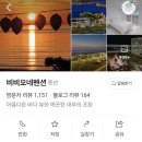 비비오네 이미지