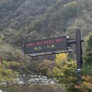 리베라 | [내장산 단풍터널] 정읍 내장산 단풍구경 후기