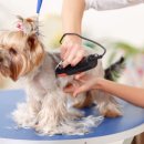 24시 산들산들 동물병원 이미지