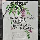 전남 백암산 백양사(白羊寺)와 장성호 이미지