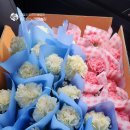 소리야노래연습장 네이버블로그