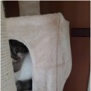 숨숨집 네이버블로그