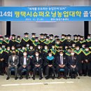 평택-평택-14 이미지