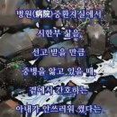37. 後滄名詩후창명시(151~155)勉崔君國鎭면최군국진,淸和望日청화망일 欲上斗升山有雨未果욕상두승산유우미과,翌日上斗升山익일상두승산,贈蔡 이미지