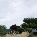 여촌농원펜션 이미지