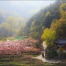 고향의 봄 이미지