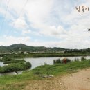 정안밤톨이정보화마을 이미지