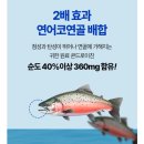 뉴프로셀 이미지