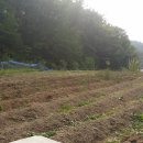 남진농장 이미지