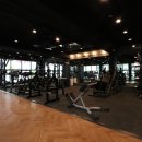 피트니스 프렌즈 이미지