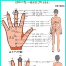 고려수지침요법학회 이미지