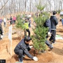 (4/6) 버스 이용이 안전한 부천을 함께 잘 만들어 나갑시다(김만수의 시정메모입니다) 이미지