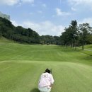 수원-0902 이미지
