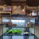 찰만생대패진천본점 | 대구 진천동 맛집 ‘찰만생대패 진천 본점’