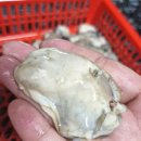 해동목장 이미지