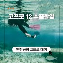 인천공항 액션캠 대여 고프로 12 렌탈 수중촬영 후기, 오키나와 여행 바다 수영 필수템