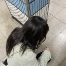 유라온 이미지