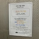 대림호텔 | 대전 위치 좋은 가성비 호텔 추천 베니키아호텔대림 스위트룸 후기