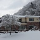 자작나무집 펜션 이미지