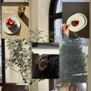 로그 | 청주 운리단길 신상느좋카페 리프로그 추천 내돈내산후기