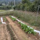 지후농장 이미지