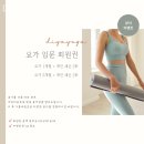 요가디야 이미지