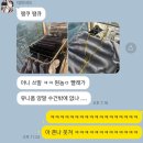 제스텍 | 24.05.08