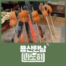 나노히, 한남동 이색 맛집 이로리야끼(원시구이) 오마카세
