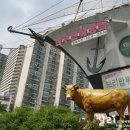 한우천하통일 이미지