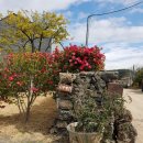 카이로스 민박 이미지