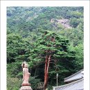 삼화사 티스토리