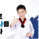 새빛 태권도 이미지