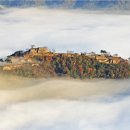 스타 아니스 이미지