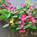 고향산촌 이미지