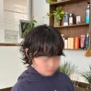 살롱0819 | 부산 대연동 미용실 살롱 0819 여자 리프 컷 빈티지 펌 후기